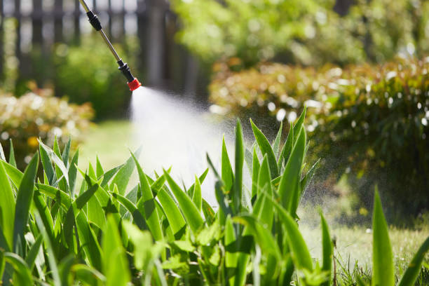 24/7 Emergency Ant Control experts in Angwin, CA