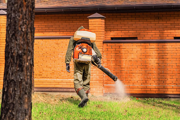 Top rated local Ant Control specialists in Angwin, CA